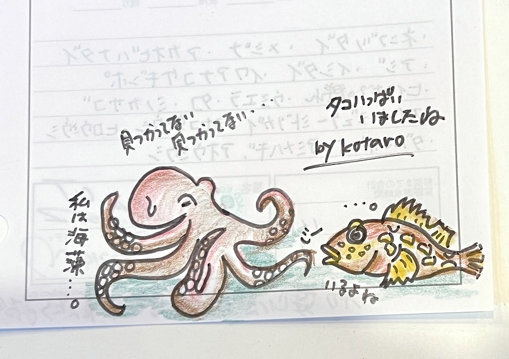 ダイビング　ログ付け　タコ