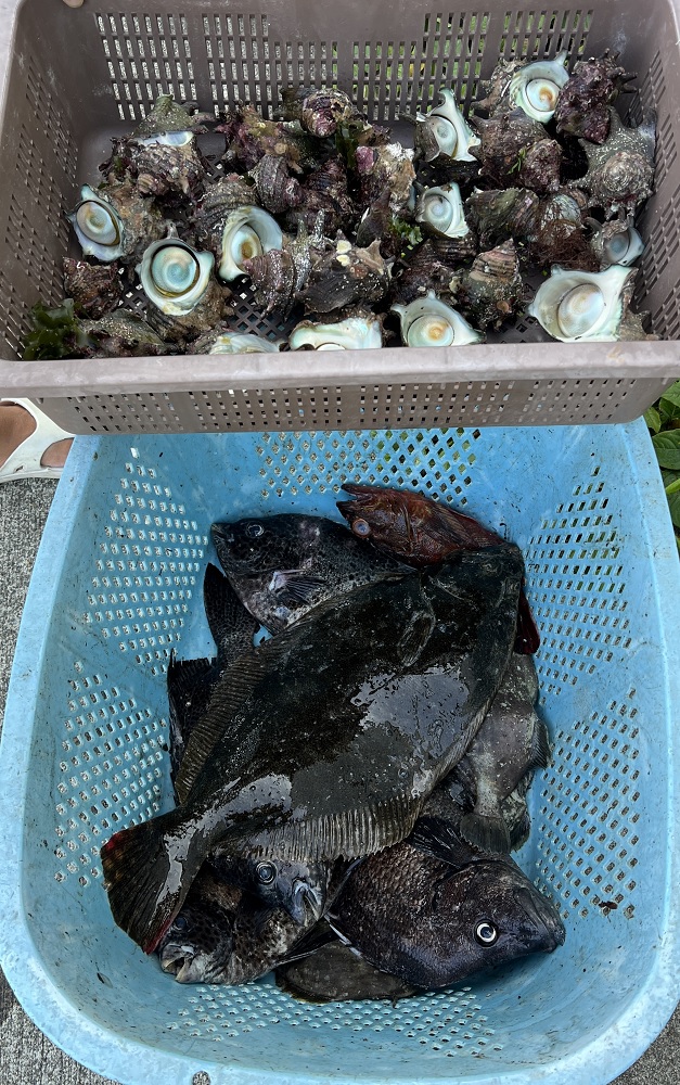 伊豆の刺身