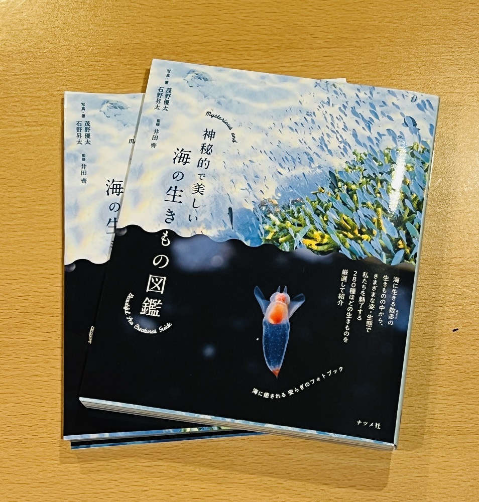 茂野優太 写真集 海の生き物図鑑