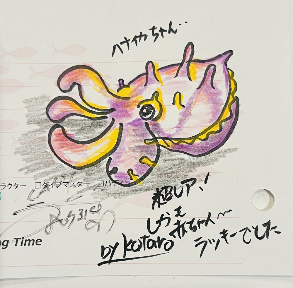 安良里 ハナイカ ヒレナガネジリンボウ カミソリウオ ダイビング ハナオコゼ