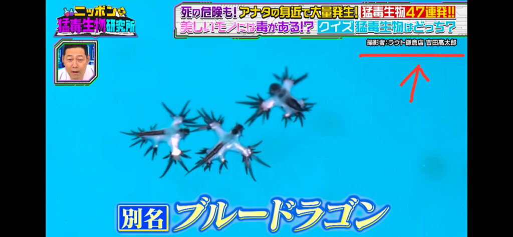 猛毒生物47連発　触るなキケン！身近に潜む激ヤバ毒物を徹底調査