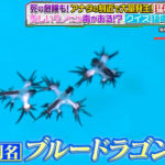 猛毒生物47連発　触るなキケン！身近に潜む激ヤバ毒物を徹底調査