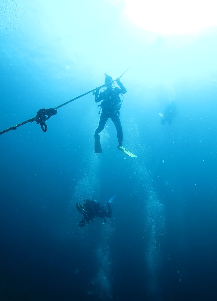 熱海沈船　ダイビング　日帰り　伊豆　神奈川　PADI　AOW
