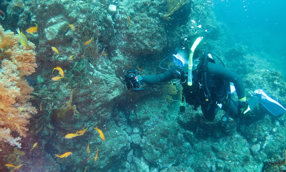 熱海沈船　ダイビング　日帰り　伊豆　神奈川　PADI　AOW