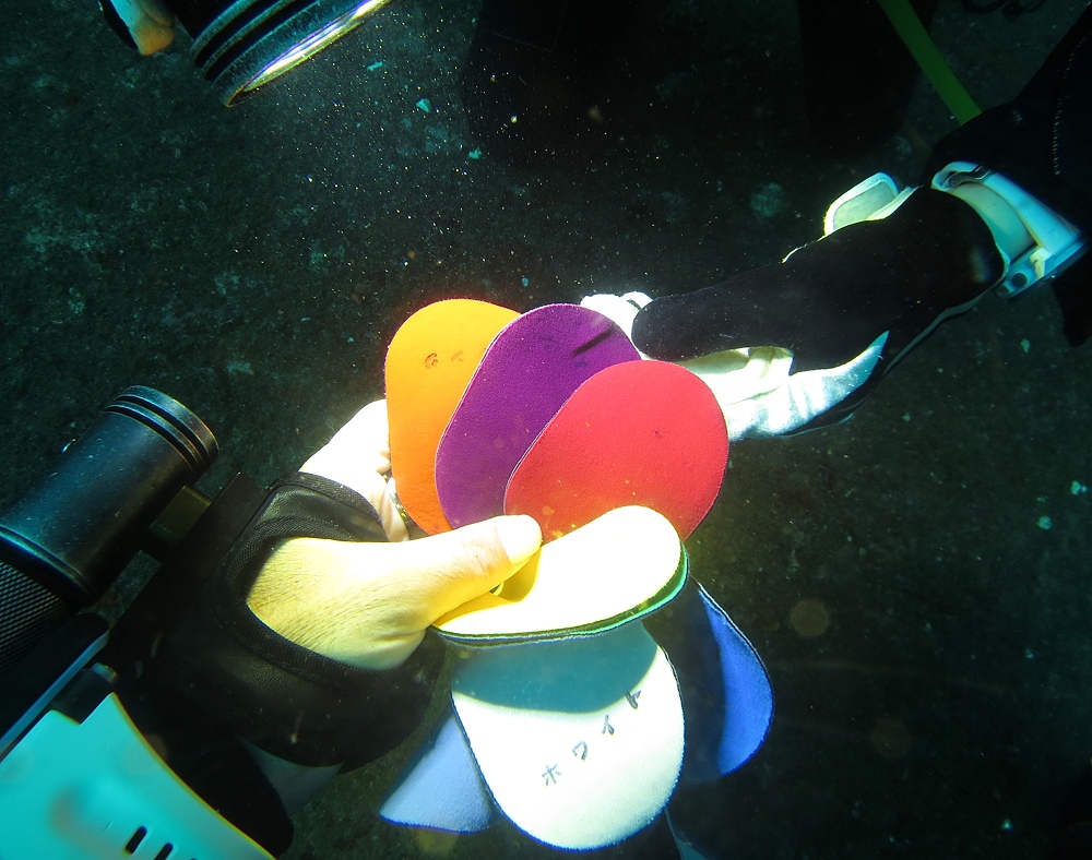 熱海沈船　ダイビング　日帰り　伊豆　神奈川　PADI　AOW