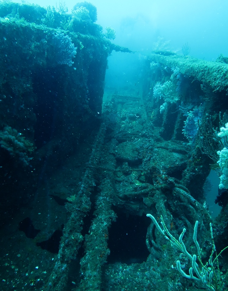 熱海沈船　ダイビング　日帰り　伊豆　神奈川　PADI　AOW