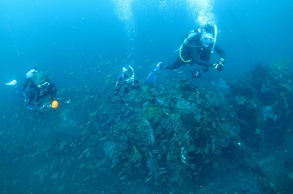 熱海沈船　ダイビング　日帰り　伊豆　神奈川　PADI　AOW