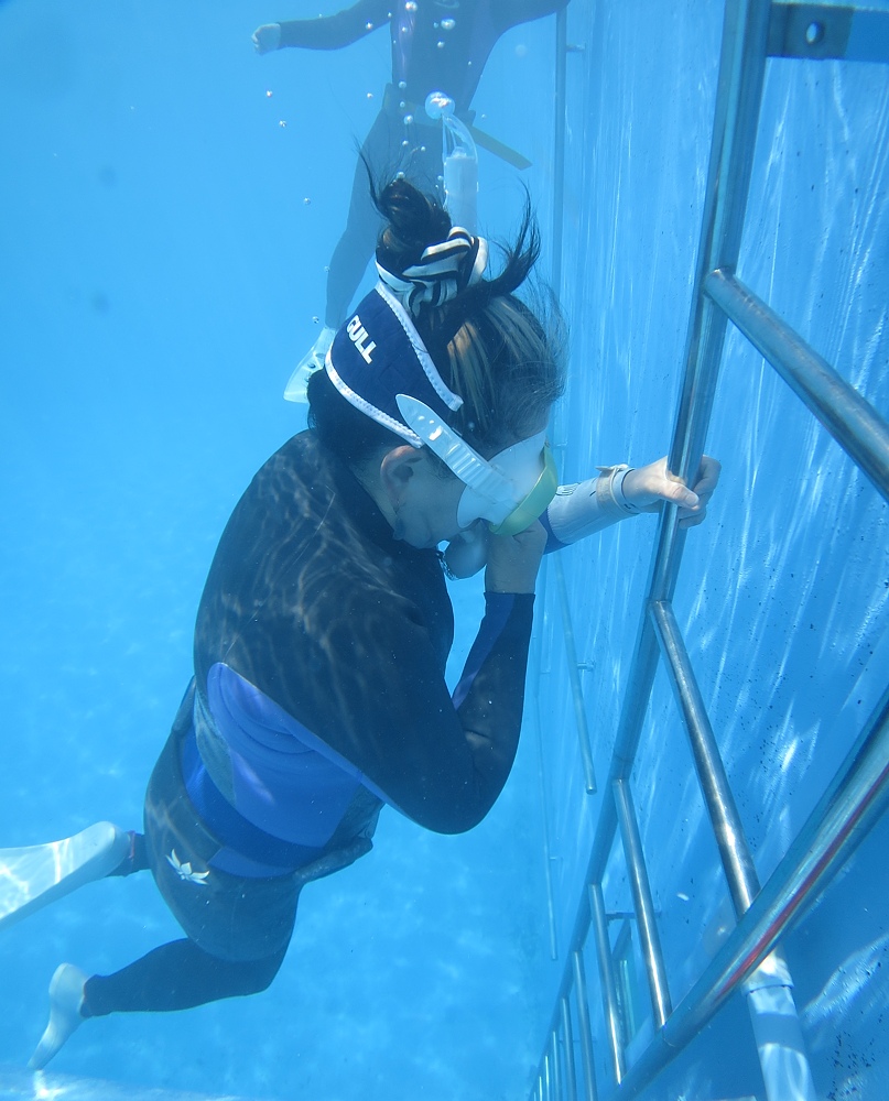 神奈川 スキンダイビング講習 鎌倉 ラウト
