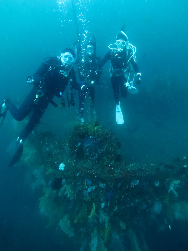 熱海　沈船　レックダイビング　神奈川　日帰りツアー