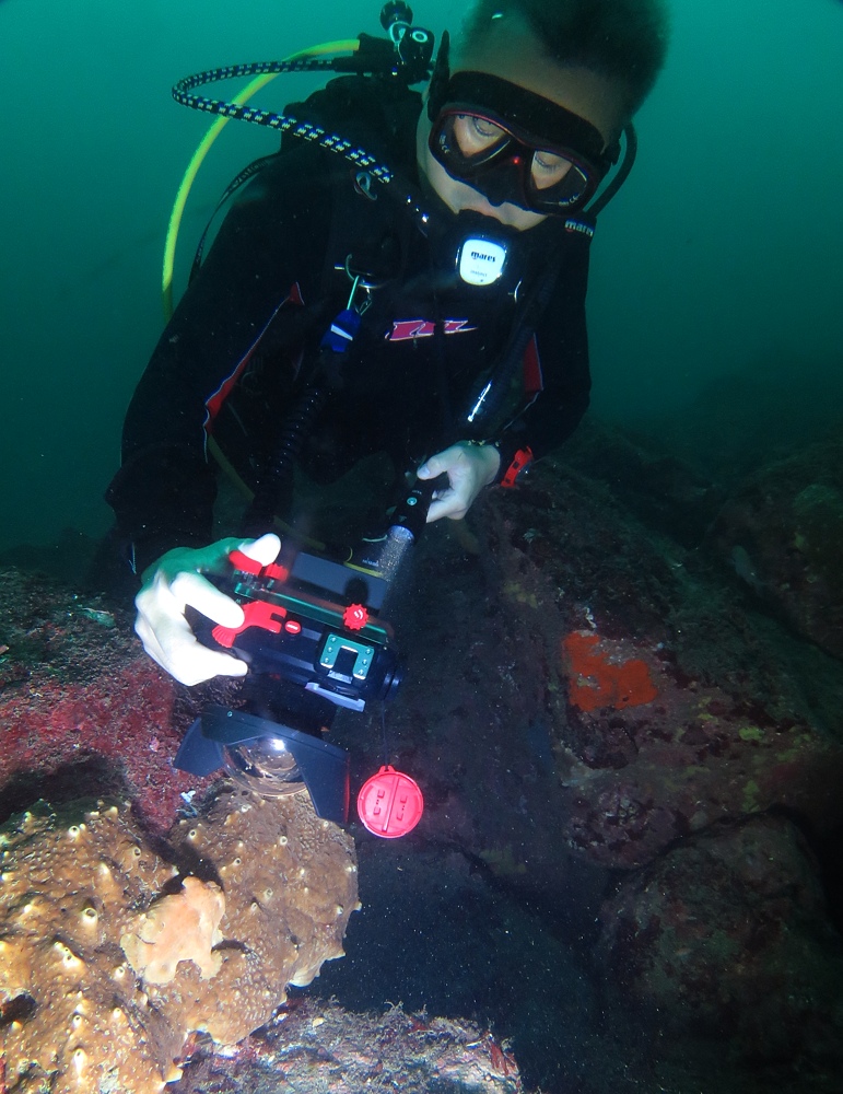 江之浦　ダイビング　水中スクーター　水中ドラえもん　カエルアンコウ　カミソリウオ