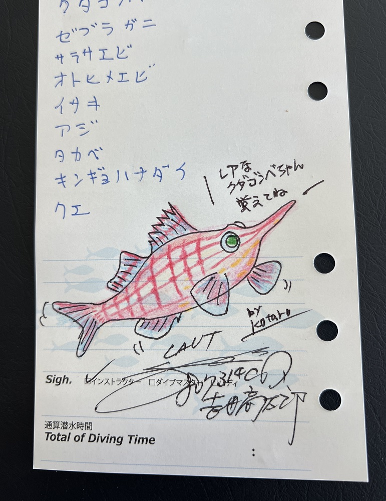 逗子 スキューバダイビング 日帰りツアー 鎌倉