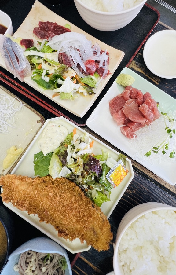 逗子ダイビング 鎌倉沖 サンゴ ゆうき食堂 群れ