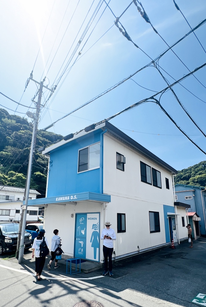 スキンダイビングツアー アオウミガメ 東伊豆 川奈ビーチ