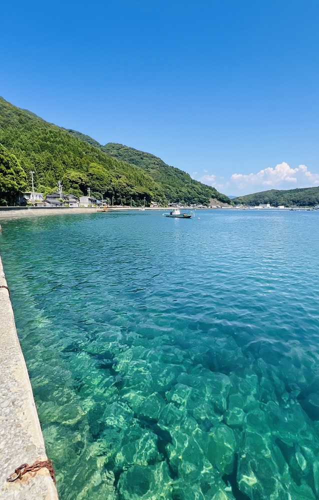 若狭　ダイビング　遊ダイブ　冠島　福井　ボートダイブ