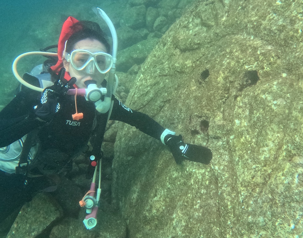 padi OPENWATER DIVER COURSE ダイビング ライセンス 講習
