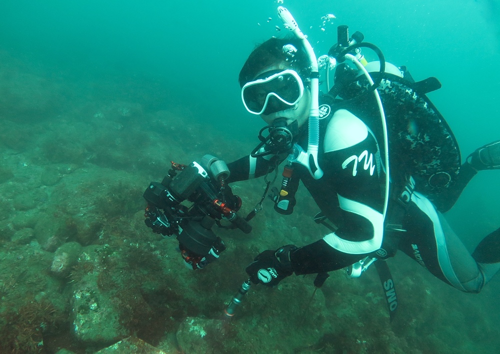 padi OPENWATER DIVER COURSE　ダイビング　ライセンス　講習