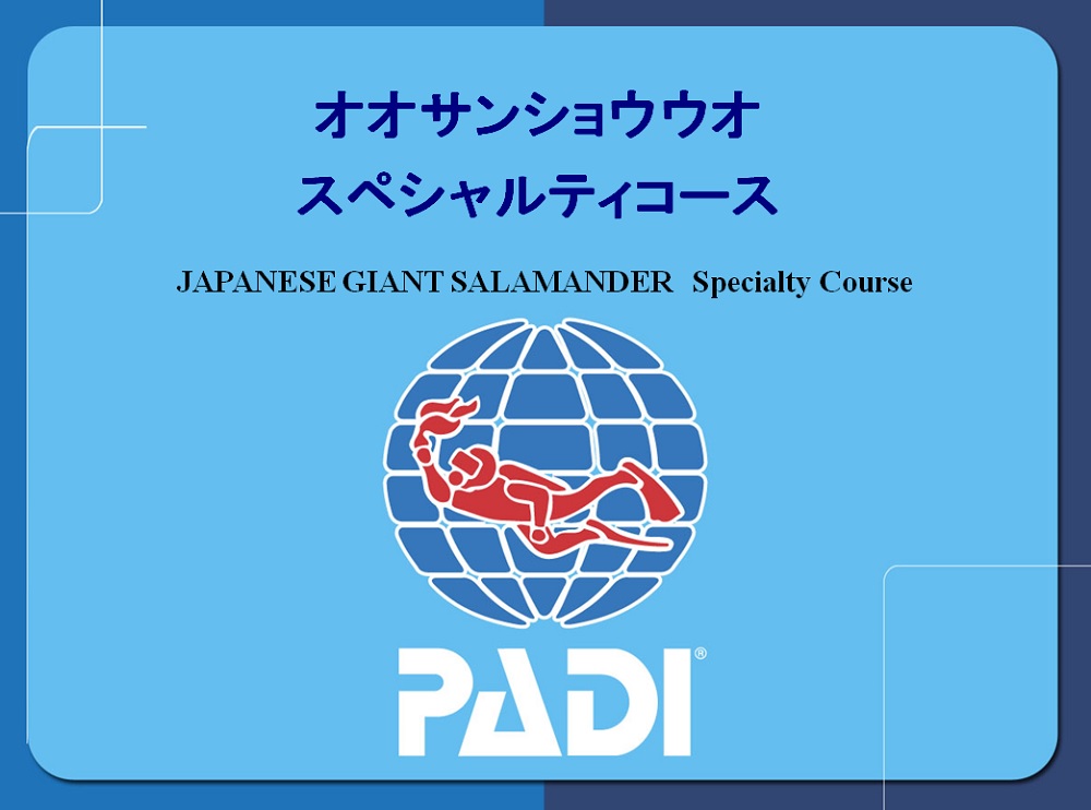 オオサンショウウオ　講習　学科　PADI