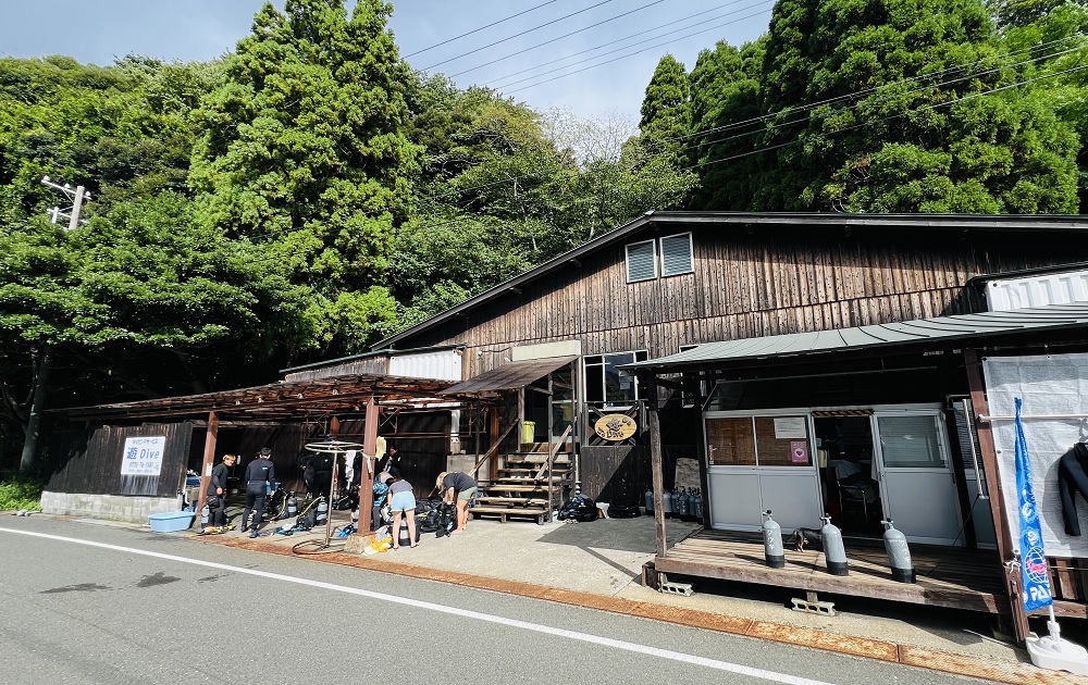 若狭湾ダイビング　遊ダイブ　京都ダイビングツアー