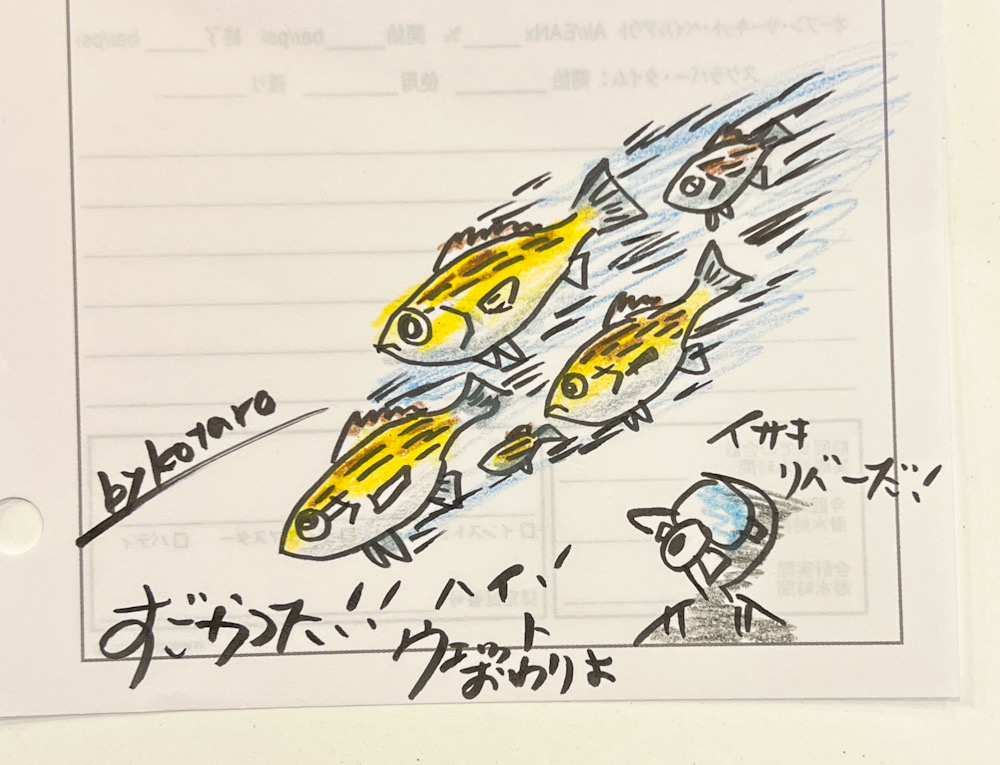田子 ダイビング 伊豆 神奈川ダイビングショップ 日帰り