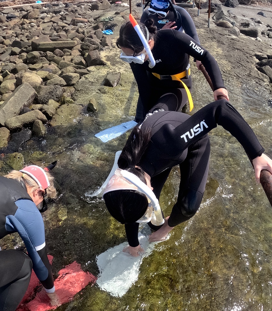 スキンダイビングツアー 沼津 伊豆 ランチ スキンダイビング女子