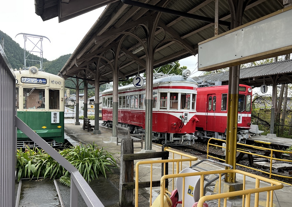 長良川リバーダイビングSP 美濃橋 オオサンショウウオSP