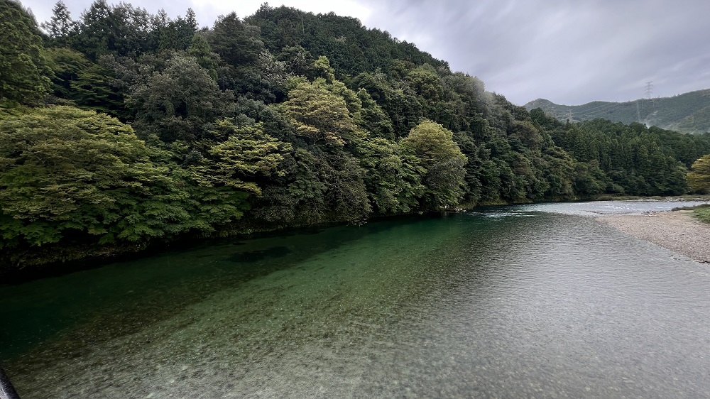長良川リバーダイビングSP 美濃橋 オオサンショウウオSP