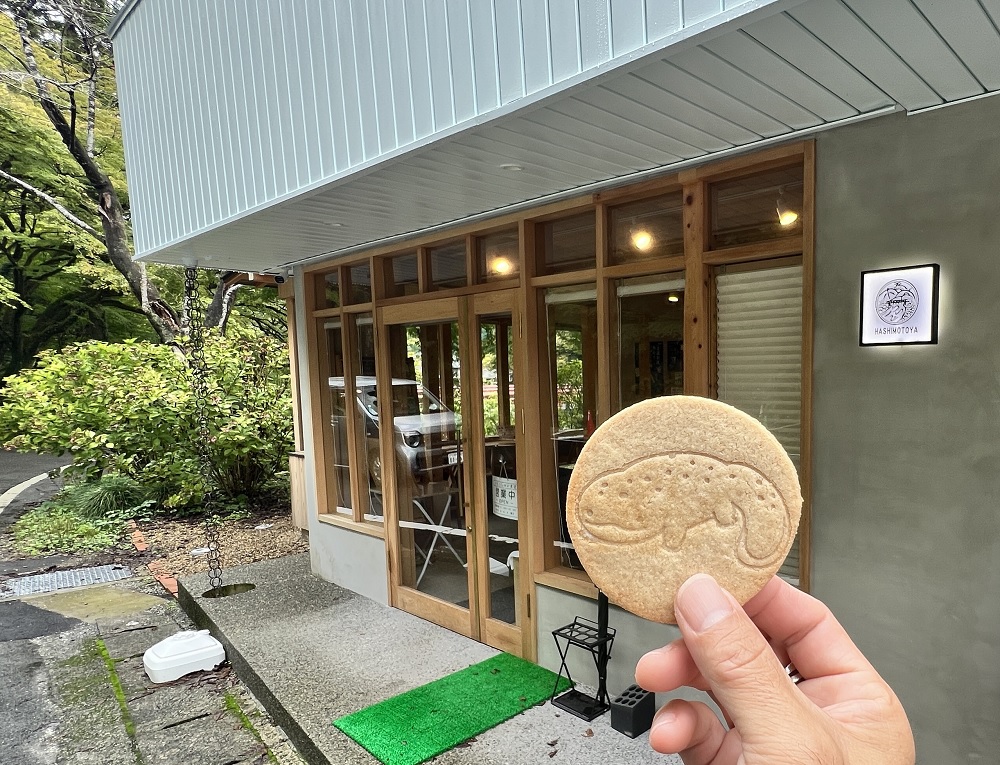 長良川リバーダイビングSP 美濃橋 オオサンショウウオSP
