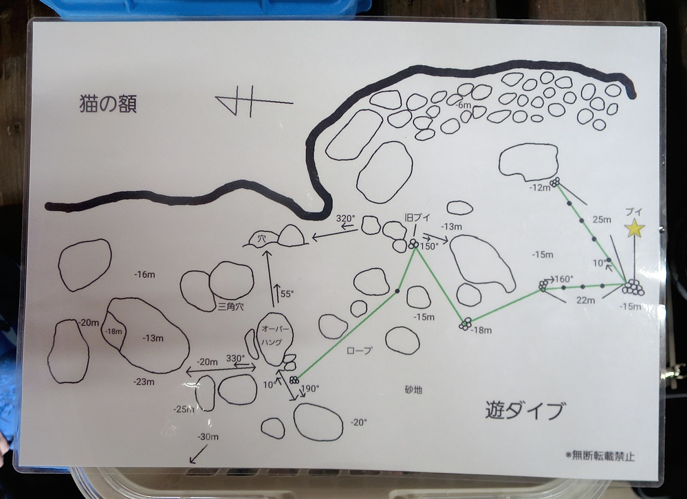 若狭湾ダイビング 遊ダイブ 京都ダイビングツアー