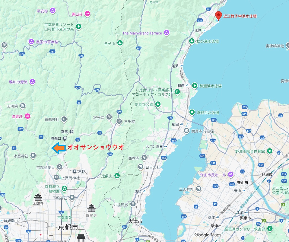 琵琶湖ダイビング　京都ダイビングツアー