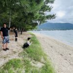京都ダイビングツアー　琵琶湖ダイビング　水草　ブラックバス　ブルーギル