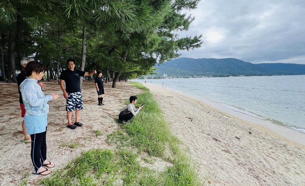 京都ダイビングツアー　琵琶湖ダイビング　水草　ブラックバス　ブルーギル