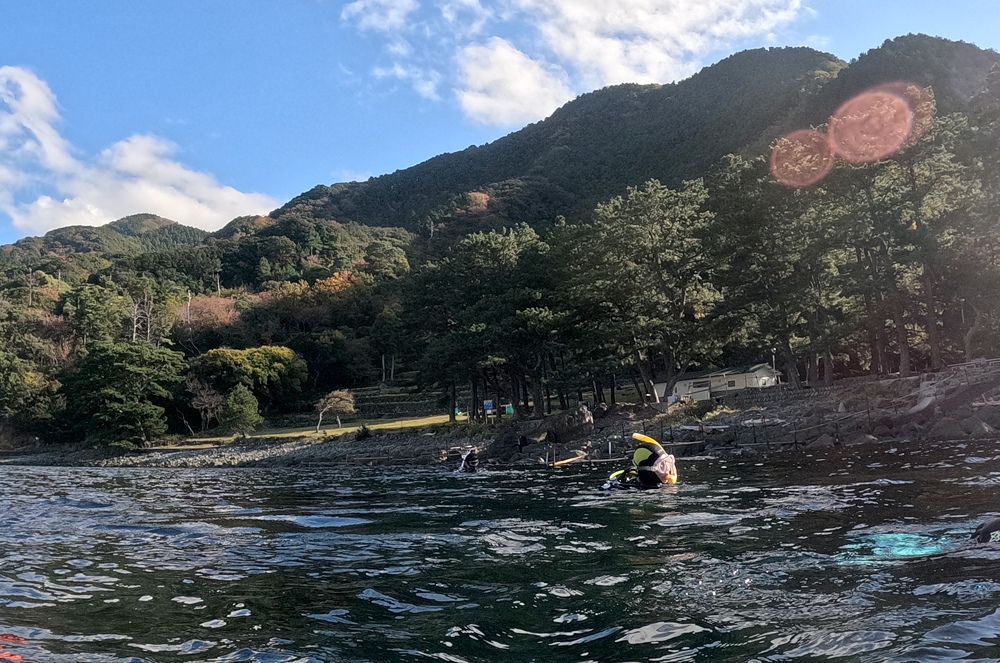 西伊豆 安良里 水中写真撮影ダイビングツアー ヤシャハゼ