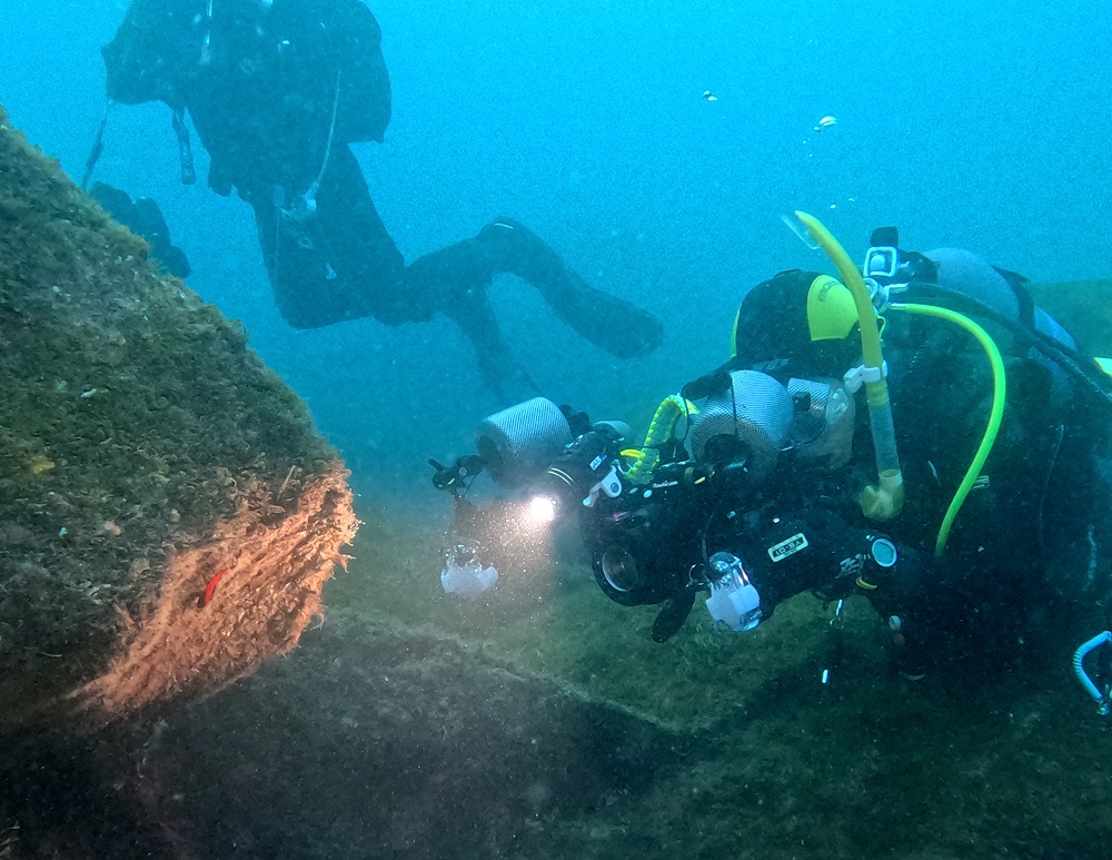 西伊豆 安良里 水中写真撮影ダイビングツアー ヤシャハゼ