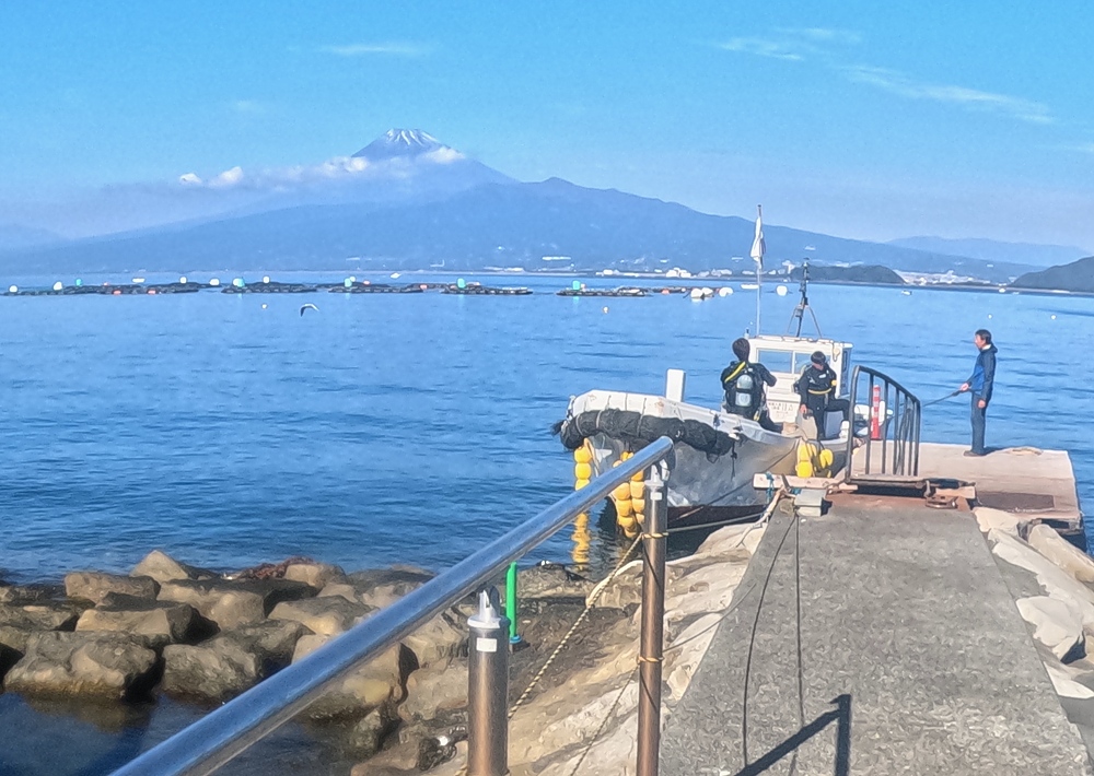淡島ボートダイビング 沼津 平沢