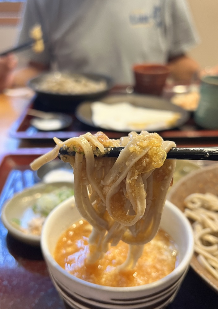 逗子 鎌倉沖 ダイビング イワシの群れ マグロ