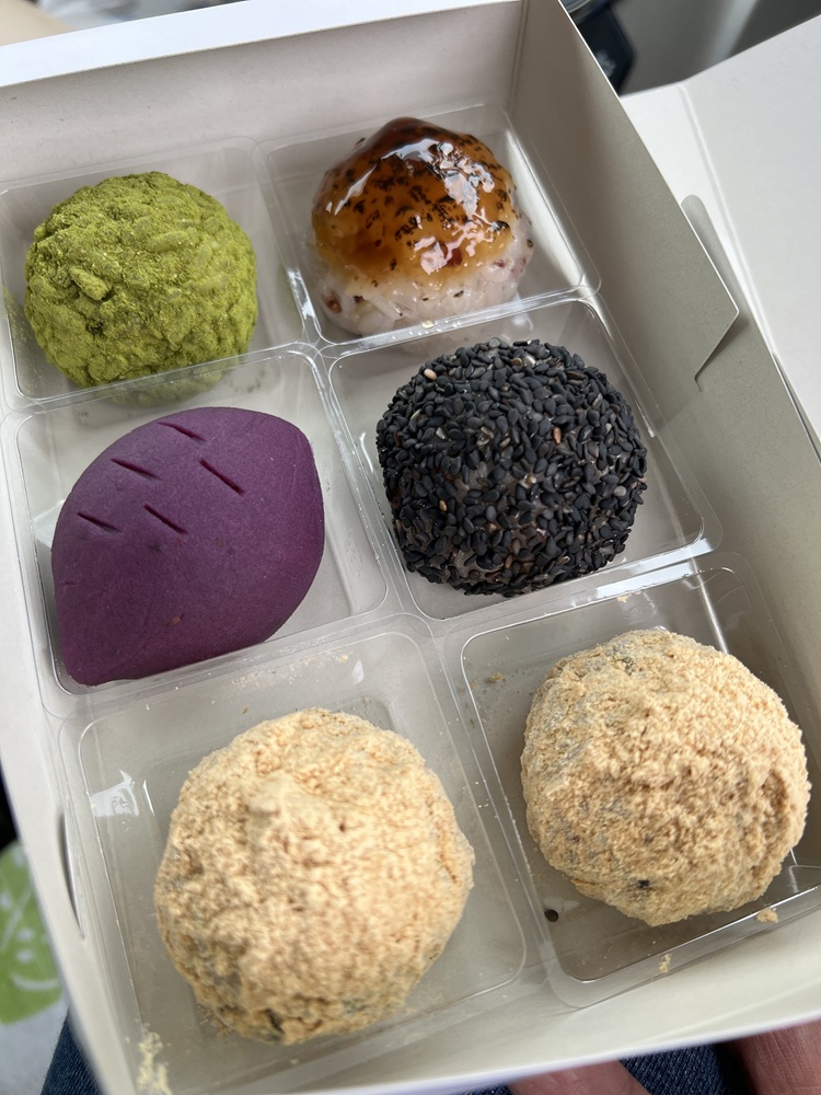 逗子 鎌倉沖 ダイビング イワシの群れ マグロ