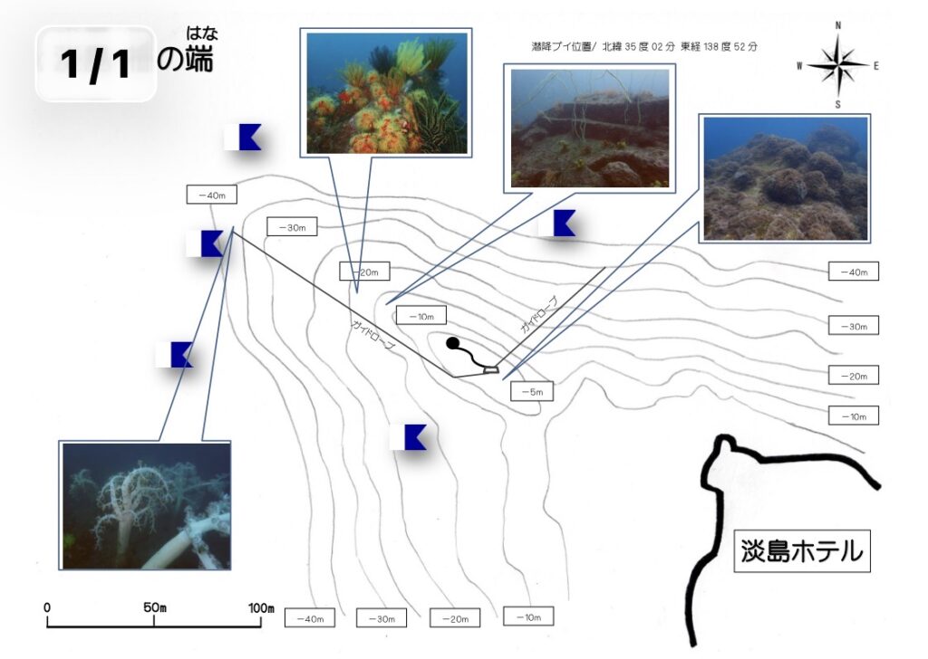 平沢　沼津　ダイビング　ボート　淡島