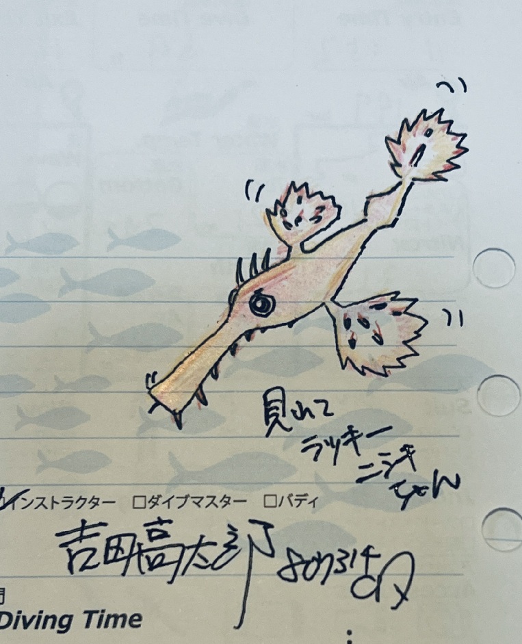 井田 ダイビング 伊豆 ニシキフウライウオ