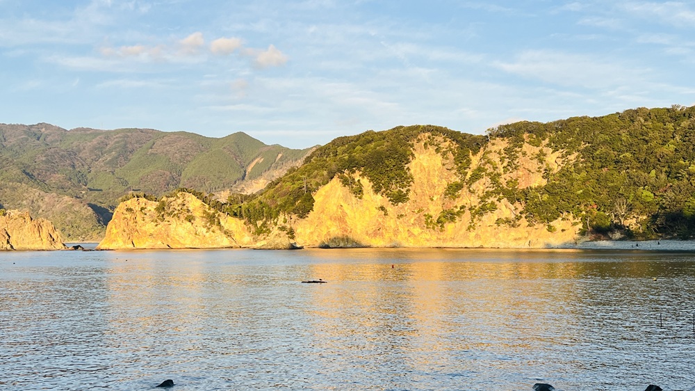 西伊豆 安良里 水中写真撮影ダイビングツアー ヤシャハゼ