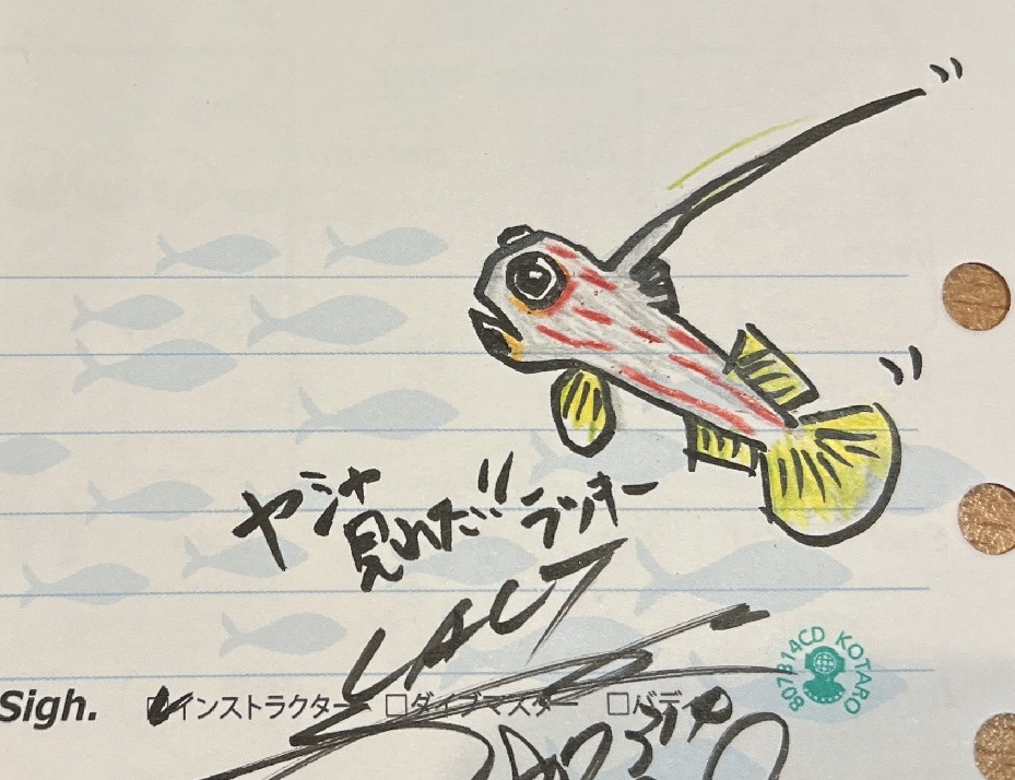 西伊豆 安良里 水中写真撮影ダイビングツアー ヤシャハゼ