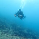 中性浮力講習　ダイビング　神奈川　ラウト