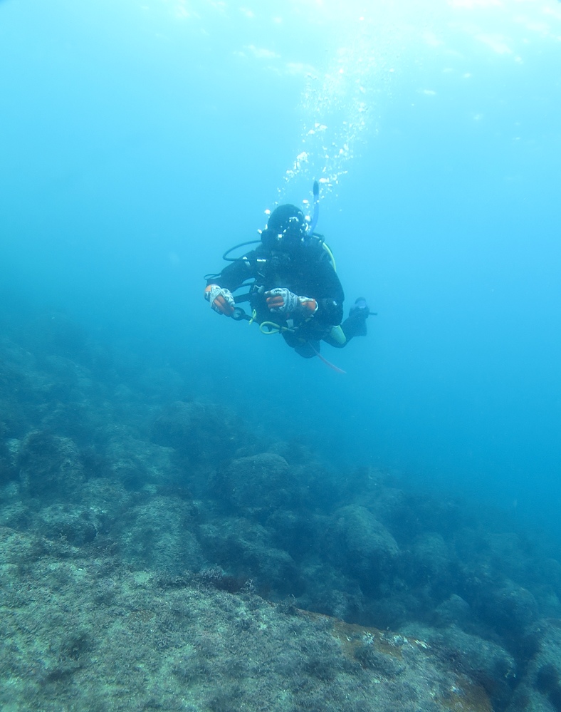 中性浮力講習 ダイビング 神奈川 ラウト