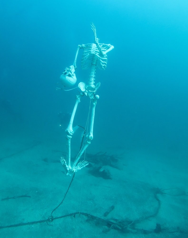 中性浮力講習 ダイビング 神奈川 ラウト