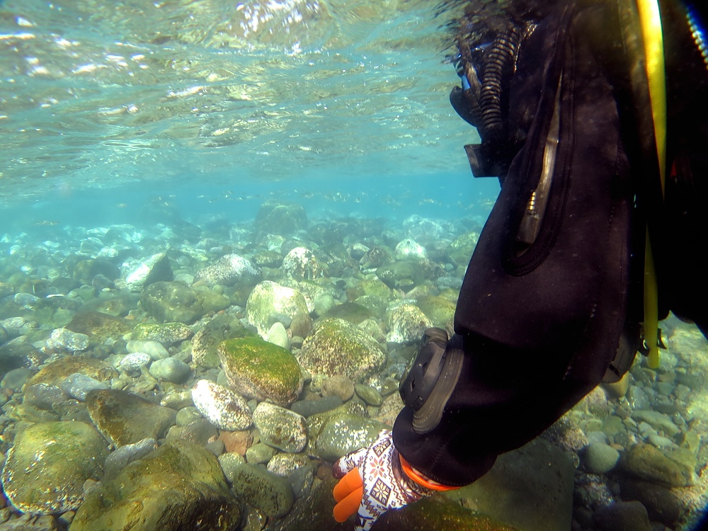 中性浮力講習 ダイビング 神奈川 ラウト