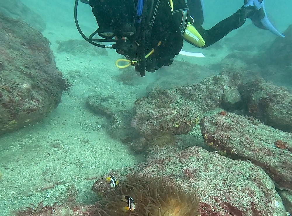 中性浮力講習 ダイビング 神奈川 ラウト