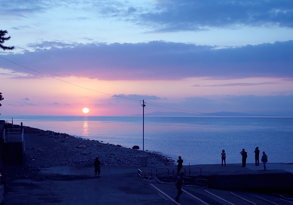 井田 ダイビング 伊豆 ニシキフウライウオ