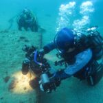 西伊豆　安良里　水中写真撮影ダイビングツアー　ヤシャハゼ