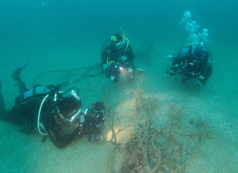 西伊豆 安良里 水中写真撮影ダイビングツアー ヤシャハゼ