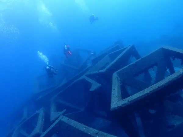 千葉 坂田 ダイビング クジラの骨