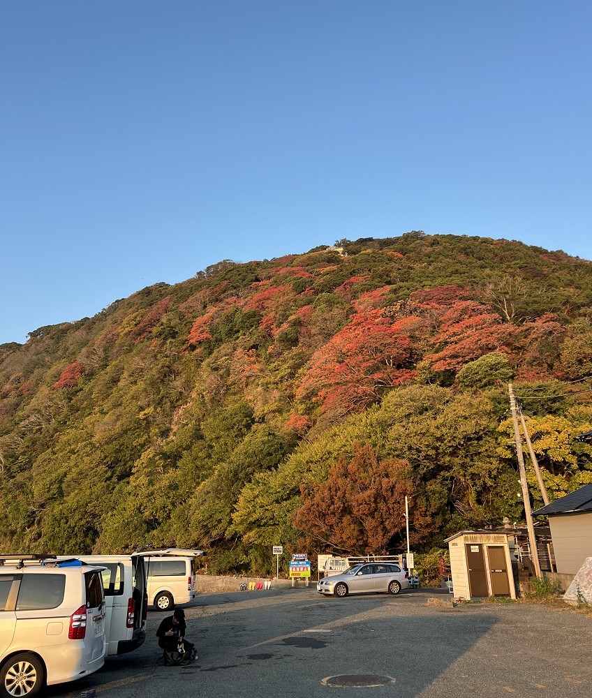 井田 ダイビング 伊豆 ニシキフウライウオ